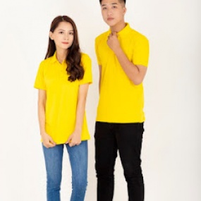 Áo Cá Sấu Màu Vàng