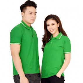 Áo Cá Sấu Màu Xanh Két Bo Cổ Viền Trắng